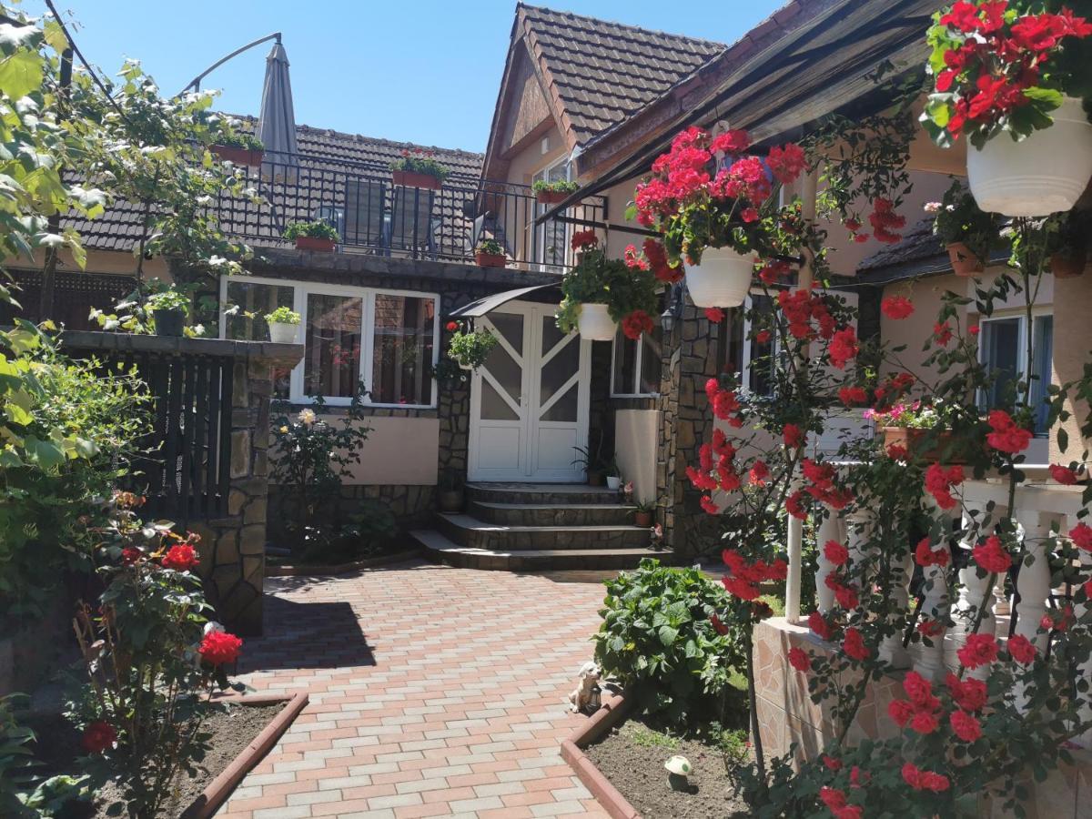 Casa Lidia Hotel Rîu de Mori Екстериор снимка