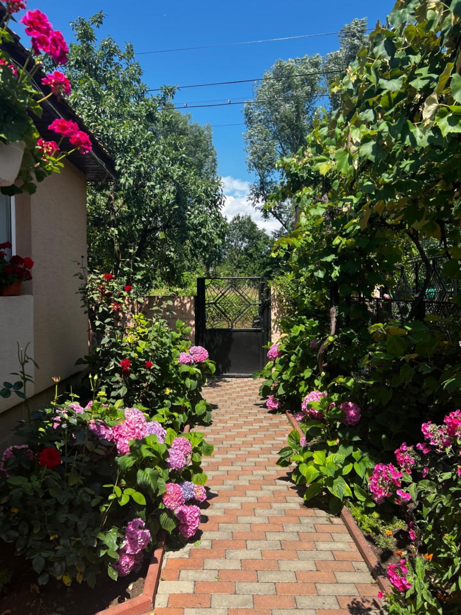 Casa Lidia Hotel Rîu de Mori Екстериор снимка